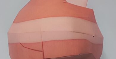 Papercraft de Nacli